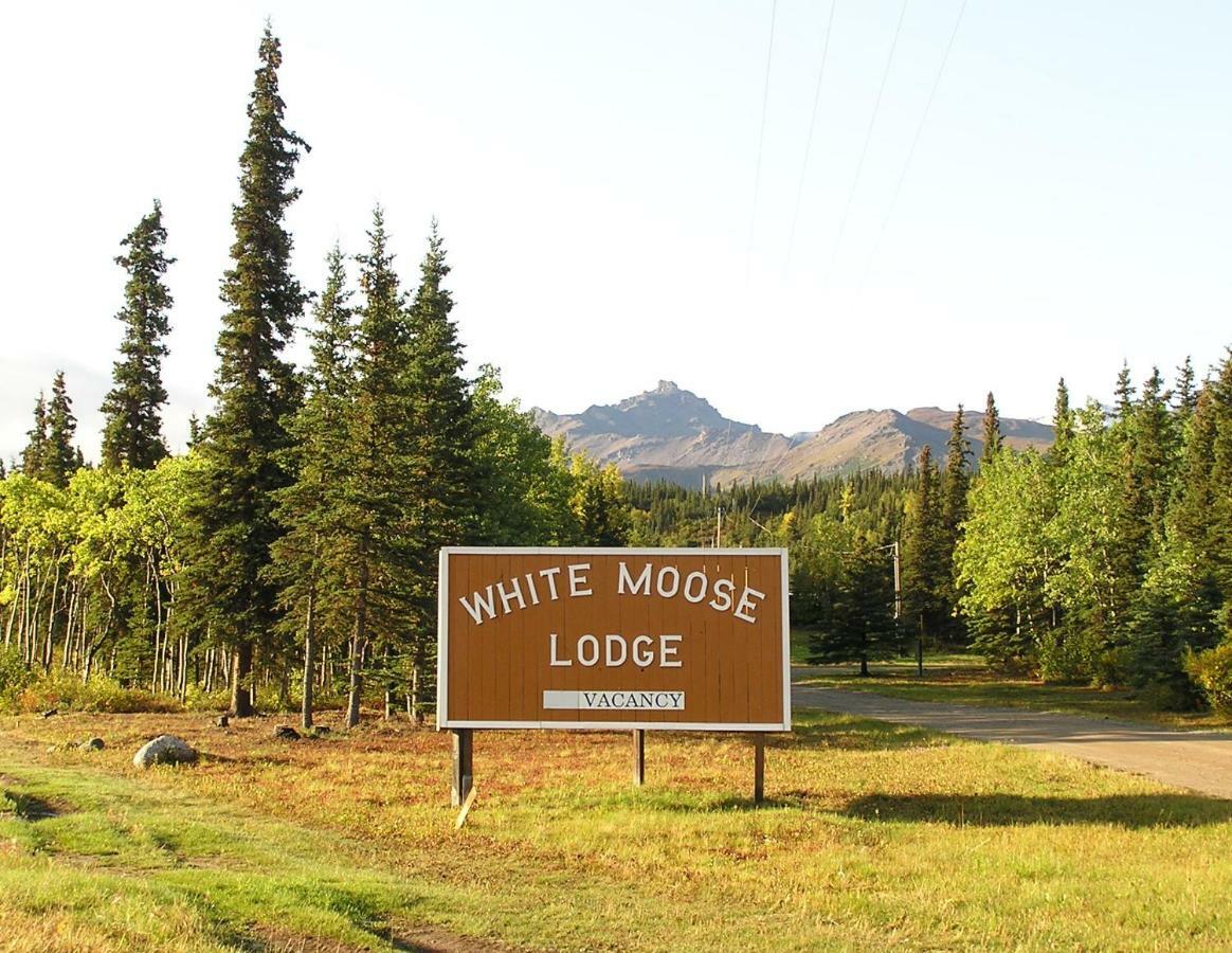White Moose Lodge 힐리 외부 사진
