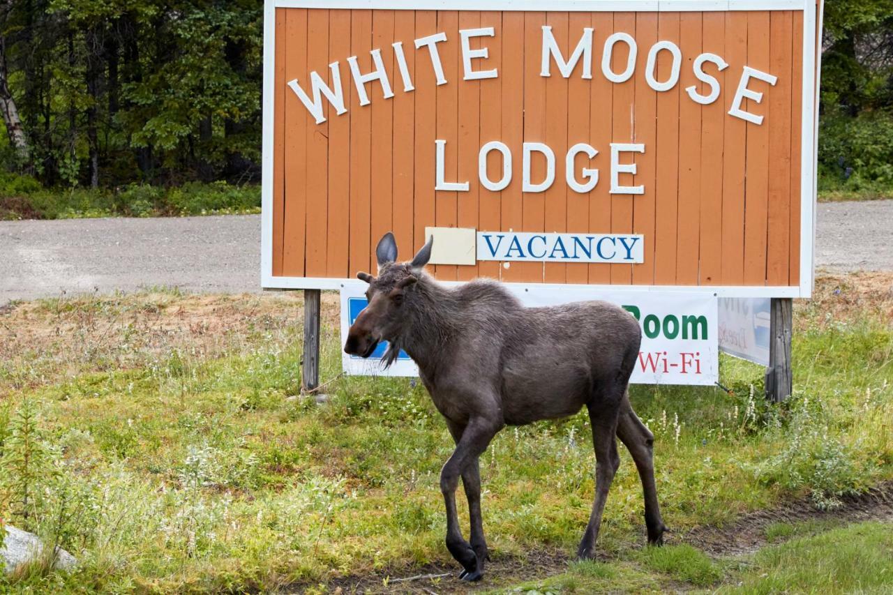White Moose Lodge 힐리 외부 사진